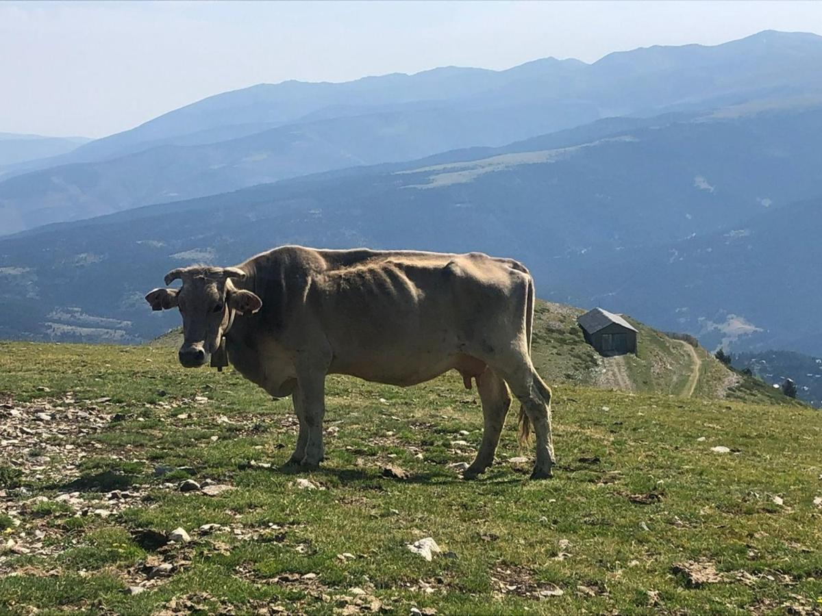 Panoramic Xalet La Molina Con Vistas Excelentes Villa ภายนอก รูปภาพ